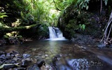 Nouvelle-Zélande Île du Nord de beaux paysages, Windows 8 fonds d'écran thématiques #8