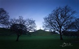 Nouvelle-Zélande Île du Nord de beaux paysages, Windows 8 fonds d'écran thématiques #12