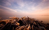 Spiekeroog, Germany, Windows 8 landscape theme wallpapers #6