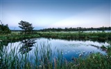 Reflexión en el fondo de pantalla paisajes naturales de agua #11