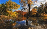 Reflexión en el fondo de pantalla paisajes naturales de agua #14