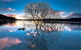 Réflexion dans le fond d'un paysage naturel de l'eau #19