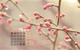 2014年4月 月历壁纸(一)3