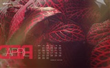 April 2014 calendar wallpaper (2) #20