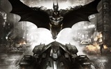 Batman: Arkham Knight 蝙蝠侠阿甘骑士 高清游戏壁纸