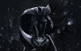 Batman: Arkham Ritter HD Spiel Tapeten #11