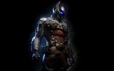 Batman: Arkham Knight HD fondos de pantalla de juegos #13
