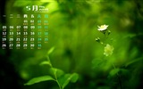 May 2014 calendar wallpaper (1) #4