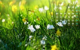 May 2014 calendar wallpaper (1) #8