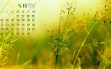 May 2014 calendar wallpaper (1) #9