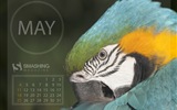 May 2014 calendar wallpaper (2) #16