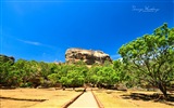 Sri Lanka style de paysage, Windows 8 fonds d'écran thématiques #4