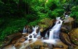 Sri Lanka landscape style, Windows 8 theme wallpapers #9