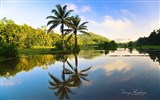 Шри-Ланка пейзажный стиль, Windows 8 тема обои #11