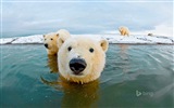 04 2014 fondos de pantalla de alta definición Bing #3