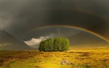 Schöner Regenbogen Landschaft HD Wallpaper #6