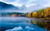 Wasser und Bäume im Herbst HD Wallpaper
