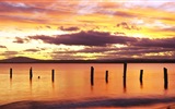 Beautiful beach sunset, Windows 8 panoramic widescreen wallpapers #7