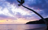 美しいビーチの夕日、Windows 8のパノラマワイドスクリーンの壁紙 #8