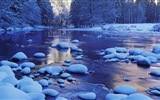 Beautiful cold winter snow, Windows 8 panoramic widescreen wallpapers #3