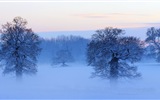 美しい寒い冬の雪、Windows 8のパノラマワイドスクリーンの壁紙 #6