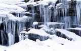 Beautiful cold winter snow, Windows 8 panoramic widescreen wallpapers #7