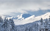 Belle neige froide d'hiver, de Windows 8 fonds d'écran widescreen panoramique #9