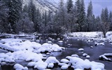 Beautiful cold winter snow, Windows 8 panoramic widescreen wallpapers #10