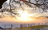 Beautiful cold winter snow, Windows 8 panoramic widescreen wallpapers #11