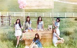 Korejský hudební dívčí skupina, růžové HD tapety na plochu #11
