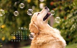 Juli 2014 Kalender Wallpaper (2) #11