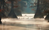 06 2014 Selección fondo de pantalla oficial Bing #15