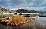 Wallpapers Pamir hermosos paisajes de alta definición #11