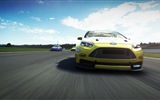 GRID: Autosport 超级房车赛：汽车运动 高清壁纸11