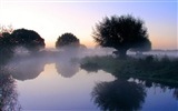 Misty morning scenery, Windows 8 theme wallpaper #4