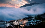 Misty morning scenery, Windows 8 theme wallpaper #5