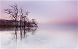 Misty morning scenery, Windows 8 theme wallpaper #6