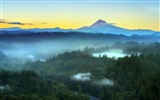 Misty Morgen Landschaft, Windows 8 Theme Wallpaper #9