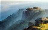 Misty morning scenery, Windows 8 theme wallpaper #12