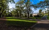 Australie Melbourne fonds d'écran HD ville #17