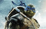 2014 Teenage Mutant Ninja Turtles films HD fonds d'écran