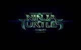 2014 Teenage Mutant Ninja Turtles films HD fonds d'écran #2