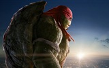 2014 Teenage Mutant Ninja Turtles films HD fonds d'écran #9