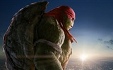 2014 Teenage Mutant Ninja Turtles HD movie wallpapers #9