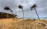 德国美丽的海岸风景，Windows 8 高清壁纸18