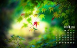 August 2014 Kalender Wallpaper (1) #8