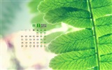 August 2014 calendar wallpaper (1) #14