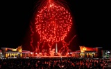 La beauté du ciel nocturne, feux d'artifice beaux fonds d'écran #6