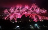 La belleza del cielo nocturno, fuegos artificiales hermosos fondos de pantalla #8