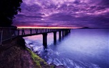 Pier and bridge HD wallpapers #5